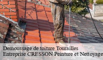 Demoussage de toiture  tourailles-41190 Entreprise CRESSON Peinture et Nettoyage