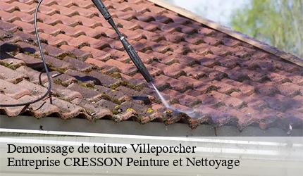 Demoussage de toiture  villeporcher-41310 Entreprise CRESSON Peinture et Nettoyage