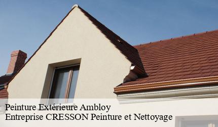 Peinture Extérieure  ambloy-41310 Entreprise CRESSON Peinture et Nettoyage