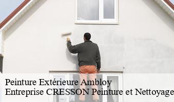 Peinture Extérieure  ambloy-41310 Entreprise CRESSON Peinture et Nettoyage