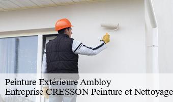 Peinture Extérieure  ambloy-41310 Entreprise CRESSON Peinture et Nettoyage