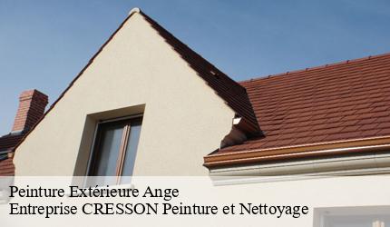 Peinture Extérieure  ange-41400 Entreprise CRESSON Peinture et Nettoyage