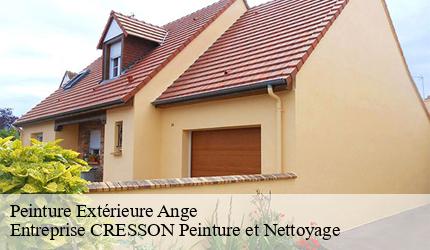 Peinture Extérieure  ange-41400 Entreprise CRESSON Peinture et Nettoyage