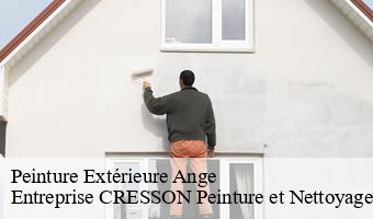 Peinture Extérieure  ange-41400 Entreprise CRESSON Peinture et Nettoyage