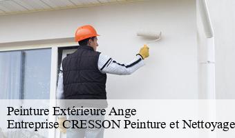 Peinture Extérieure  ange-41400 Entreprise CRESSON Peinture et Nettoyage