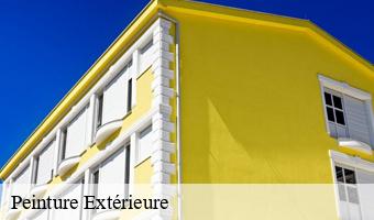 Peinture Extérieure  authon-41310 Entreprise CRESSON Peinture et Nettoyage