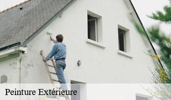 Peinture Extérieure  authon-41310 Entreprise CRESSON Peinture et Nettoyage