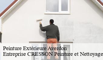 Peinture Extérieure  averdon-41330 Entreprise CRESSON Peinture et Nettoyage