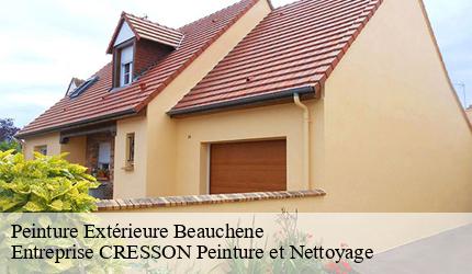 Peinture Extérieure  beauchene-41170 Entreprise CRESSON Peinture et Nettoyage