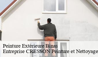 Peinture Extérieure  binas-41240 Entreprise CRESSON Peinture et Nettoyage