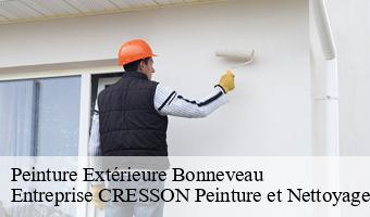 Peinture Extérieure  bonneveau-41800 Entreprise CRESSON Peinture et Nettoyage