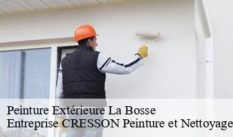 Peinture Extérieure  la-bosse-41290 Entreprise CRESSON Peinture et Nettoyage