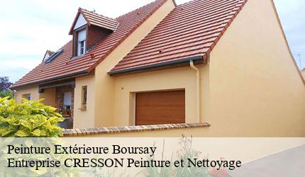 Peinture Extérieure  boursay-41270 Entreprise CRESSON Peinture et Nettoyage