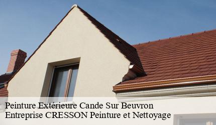 Peinture Extérieure  cande-sur-beuvron-41120 Entreprise CRESSON Peinture et Nettoyage