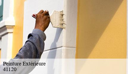 Peinture Extérieure  cande-sur-beuvron-41120 Entreprise CRESSON Peinture et Nettoyage