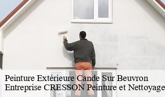 Peinture Extérieure  cande-sur-beuvron-41120 Entreprise CRESSON Peinture et Nettoyage