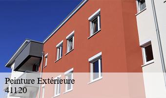 Peinture Extérieure  cande-sur-beuvron-41120 Entreprise CRESSON Peinture et Nettoyage