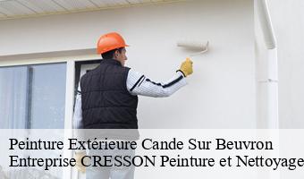 Peinture Extérieure  cande-sur-beuvron-41120 Entreprise CRESSON Peinture et Nettoyage