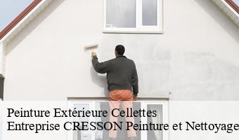 Peinture Extérieure  cellettes-41120 Entreprise CRESSON Peinture et Nettoyage