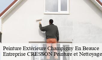 Peinture Extérieure  champigny-en-beauce-41330 Entreprise CRESSON Peinture et Nettoyage