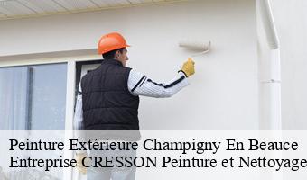 Peinture Extérieure  champigny-en-beauce-41330 Entreprise CRESSON Peinture et Nettoyage