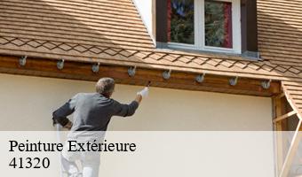 Peinture Extérieure  chatres-sur-cher-41320 Entreprise CRESSON Peinture et Nettoyage