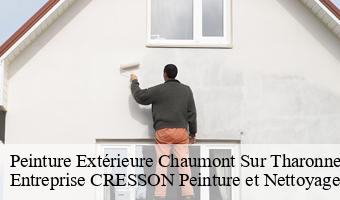 Peinture Extérieure  chaumont-sur-tharonne-41600 Entreprise CRESSON Peinture et Nettoyage