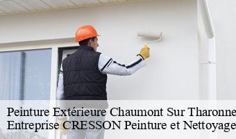 Peinture Extérieure  chaumont-sur-tharonne-41600 Entreprise CRESSON Peinture et Nettoyage