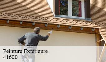 Peinture Extérieure  chaumont-sur-tharonne-41600 Entreprise CRESSON Peinture et Nettoyage