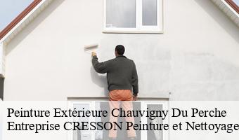 Peinture Extérieure  chauvigny-du-perche-41270 Entreprise CRESSON Peinture et Nettoyage