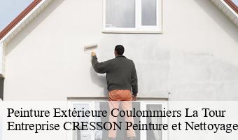 Peinture Extérieure  coulommiers-la-tour-41100 Entreprise CRESSON Peinture et Nettoyage