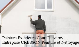 Peinture Extérieure  cour-cheverny-41700 Entreprise CRESSON Peinture et Nettoyage