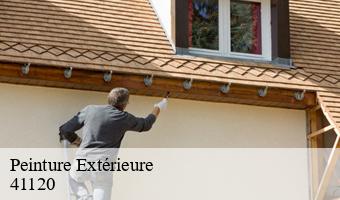 Peinture Extérieure  fougeres-sur-bievre-41120 Entreprise CRESSON Peinture et Nettoyage