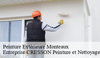 Peinture Extérieure  monteaux-41150 Entreprise CRESSON Peinture et Nettoyage