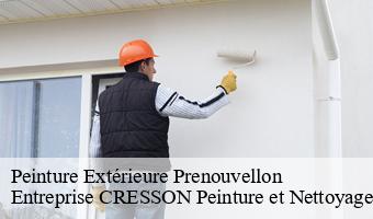 Peinture Extérieure  prenouvellon-41240 Entreprise CRESSON Peinture et Nettoyage