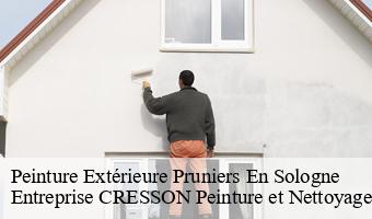 Peinture Extérieure  pruniers-en-sologne-41200 Entreprise CRESSON Peinture et Nettoyage