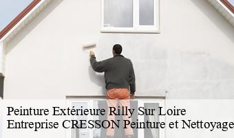 Peinture Extérieure  rilly-sur-loire-41150 Entreprise CRESSON Peinture et Nettoyage