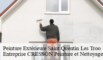 Peinture Extérieure  saint-quentin-les-troo-41800 Entreprise CRESSON Peinture et Nettoyage