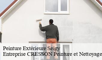 Peinture Extérieure  seigy-41110 Entreprise CRESSON Peinture et Nettoyage