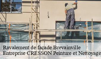 Ravalement de façade  brevainville-41160 Entreprise CRESSON Peinture et Nettoyage