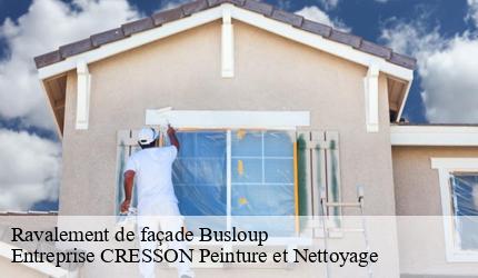 Ravalement de façade  busloup-41160 Entreprise CRESSON Peinture et Nettoyage