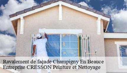 Ravalement de façade  champigny-en-beauce-41330 Entreprise CRESSON Peinture et Nettoyage