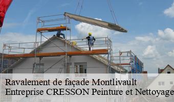 Ravalement de façade  montlivault-41350 Entreprise CRESSON Peinture et Nettoyage