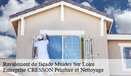 Ravalement de façade  muides-sur-loire-41500 Entreprise CRESSON Peinture et Nettoyage