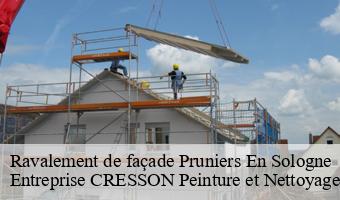 Ravalement de façade  pruniers-en-sologne-41200 Entreprise CRESSON Peinture et Nettoyage